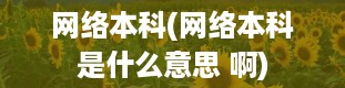 网络本科(网络本科是什么意思 啊)