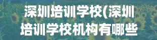 深圳培训学校(深圳培训学校机构有哪些)