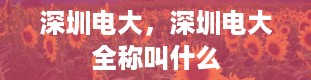 深圳电大，深圳电大全称叫什么