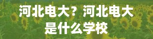 河北电大？河北电大是什么学校