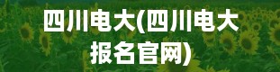 四川电大(四川电大报名官网)