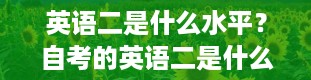 英语二是什么水平？自考的英语二是什么水平