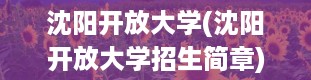 沈阳开放大学(沈阳开放大学招生简章)