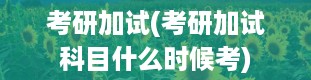 考研加试(考研加试科目什么时候考)