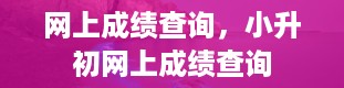 网上成绩查询，小升初网上成绩查询