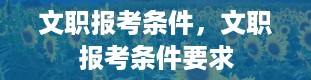 文职报考条件，文职报考条件要求