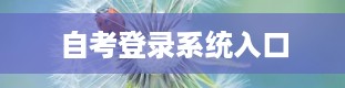 自考登录系统入口