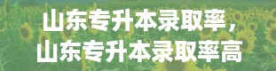 山东专升本录取率，山东专升本录取率高的专科学校