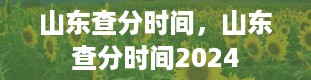 山东查分时间，山东查分时间2024