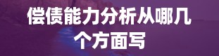 偿债能力分析从哪几个方面写