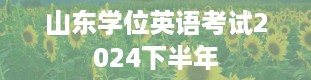 山东学位英语考试2024下半年