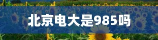 北京电大是985吗