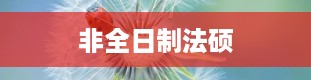 非全日制法硕