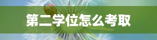 第二学位怎么考取