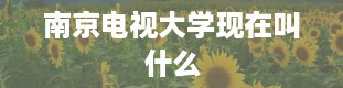 南京电视大学现在叫什么