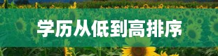 学历从低到高排序