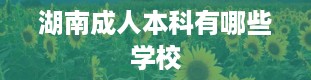 湖南成人本科有哪些学校