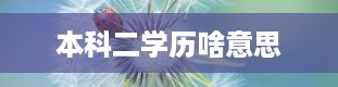 本科二学历啥意思