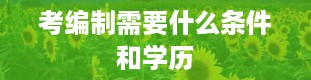 考编制需要什么条件和学历