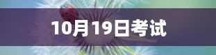 10月19日考试