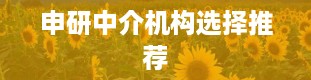 申研中介机构选择推荐