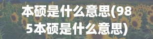 本硕是什么意思(985本硕是什么意思)