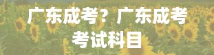 广东成考？广东成考考试科目