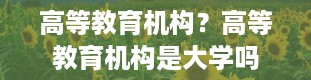 高等教育机构？高等教育机构是大学吗