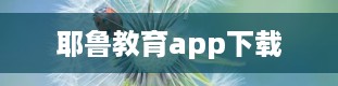 耶鲁教育app下载