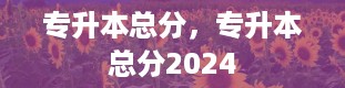 专升本总分，专升本总分2024