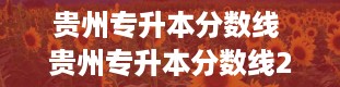 贵州专升本分数线 贵州专升本分数线2024年录取线