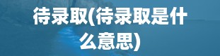 待录取(待录取是什么意思)