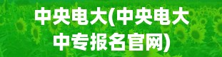 中央电大(中央电大中专报名官网)