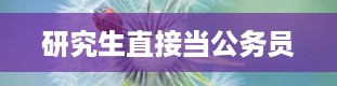 研究生直接当公务员