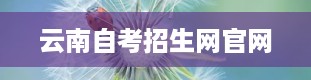 云南自考招生网官网