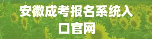 安徽成考报名系统入口官网