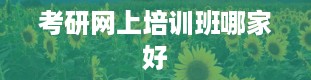 考研网上培训班哪家好