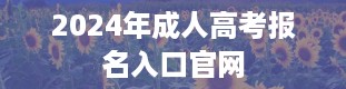 2024年成人高考报名入口官网