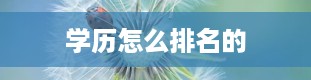 学历怎么排名的