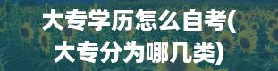 大专学历怎么自考(大专分为哪几类)