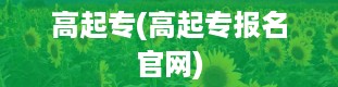 高起专(高起专报名官网)