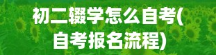 初二辍学怎么自考(自考报名流程)