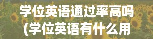 学位英语通过率高吗(学位英语有什么用)