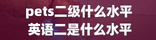 pets二级什么水平 英语二是什么水平