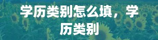 学历类别怎么填，学历类别