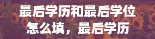 最后学历和最后学位怎么填，最后学历