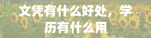 文凭有什么好处，学历有什么用