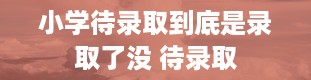 小学待录取到底是录取了没 待录取