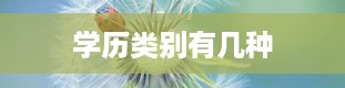 学历类别有几种