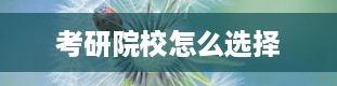 考研院校怎么选择